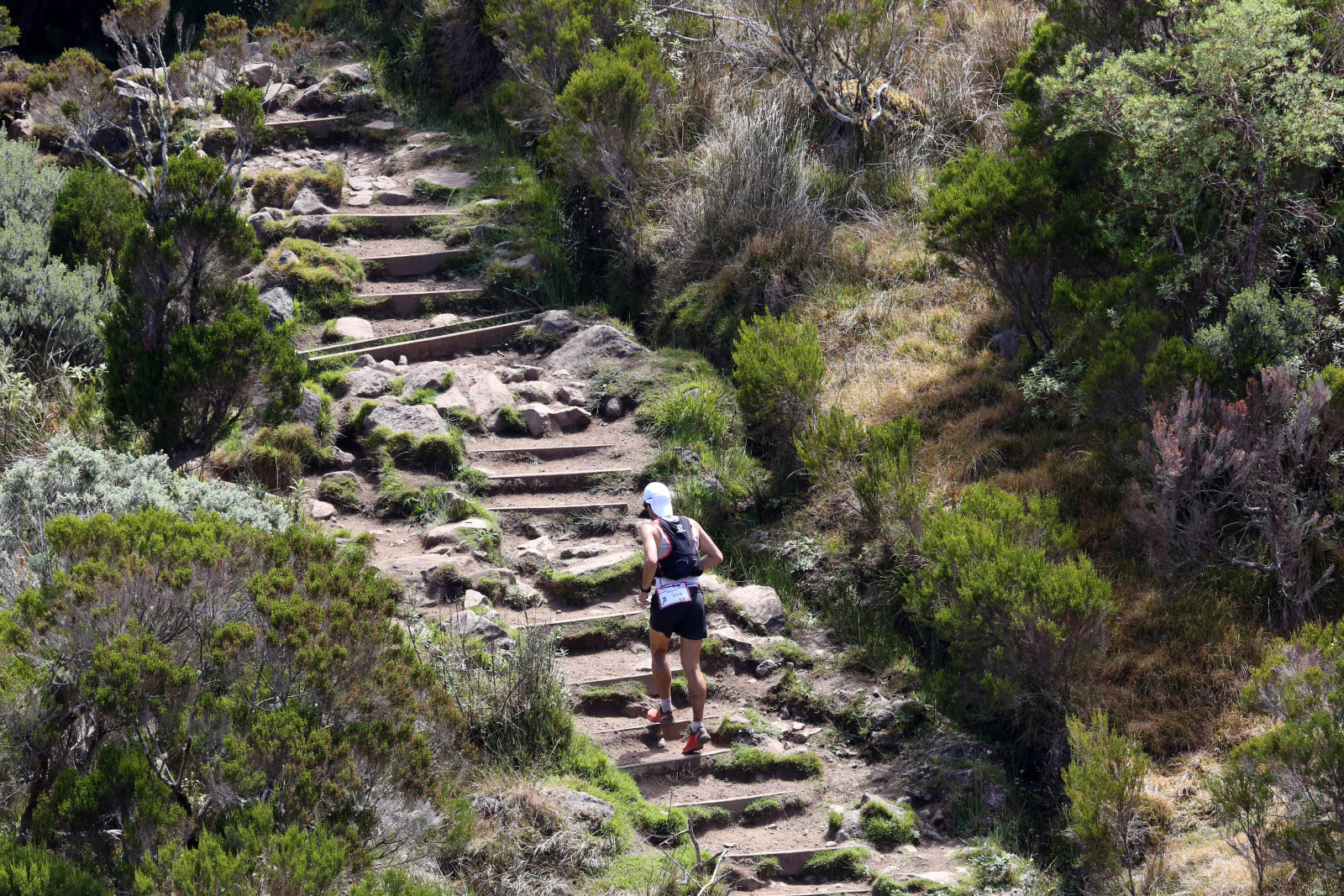 Diagonale des Fous : construire un pronostic sur un ultra-trail extrême